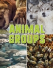 Animal Groups - eBook