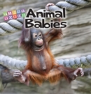 Animal Babies - eBook