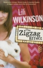 The Zigzag Effect - Book