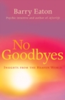 No Goodbyes : Insights From the Heaven World - Book