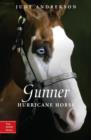 Gunner - eBook