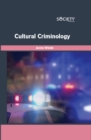 Cultural Criminology - eBook