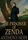 The Prisoner of Zenda - eBook