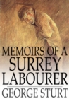 Memoirs of a Surrey Labourer : A Record of the Last Years of Frederick Bettesworth - eBook