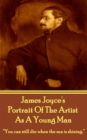 Portrait Of The Artist As A Young Man : "You can still die when the sun is shining." - eBook