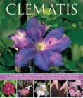 Clematis - Book