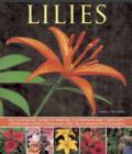 Lilies : An Illustrated Guide to Varieties, Cultivation and Care, with Step-by-step Instructions and Over 150 Stunning Photographs - Book