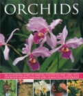 Orchids - Book