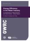 Energy Efficiency in the Water Industry - eBook