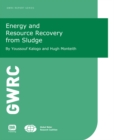 Energy and Resource Recovery from Sludge - eBook