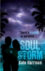 Soul Storm - Book