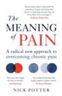 The Meaning of Pain : A radical new approach to overcoming chronic pain - Book