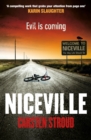 Niceville - Book