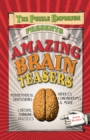Amazing Brain Teasers - Book