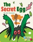 The Secret Egg - Book