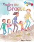 Feeding the Dragon - Book