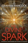 The Divine Spark : Psychedelics, Consciousness and the Birth of Civilization - Book