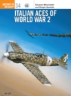 Italian Aces of World War 2 - eBook