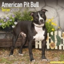 American Pit Bull Terrier Calendar 2017 - Book