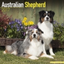 Australian Shepherd Calendar 2017 - Book