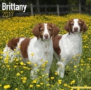 Brittany Calendar 2017 - Book