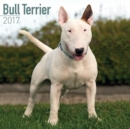 Bull Terrier Calendar 2017 - Book