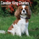 Cavalier King Charles Spaniel Calendar 2017 - Book