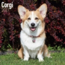 Corgi Calendar 2017 - Book