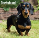 Dachshund Calendar 2017 - Book