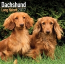 Dachshund (Longhaired) Calendar 2017 - Book
