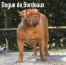 Dogue de Bordeaux Calendar 2017 - Book