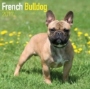 French Bulldog Calendar 2017 - Book