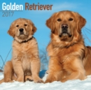 Golden Retriever Calendar 2017 - Book