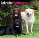 Labrador Retrievers Calendar 2017 - Book