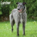 Lurcher Calendar 2017 - Book