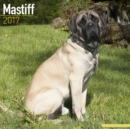 Mastiff Calendar 2017 - Book