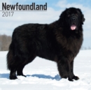 Newfoundland Calendar 2017 - Book