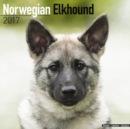Norwegian Elkhound Calendar 2017 - Book