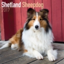 Shetland Sheepdog Calendar 2017 - Book