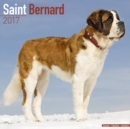 Saint Bernard Calendar 2017 - Book