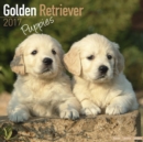 Golden Retriever Puppies Calendar 2017 - Book
