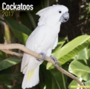 Cockatoos Calendar 2017 - Book