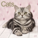Cats Calendar 2017 - Book