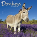 Donkeys Calendar 2017 - Book