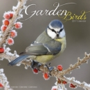 Garden Birds Calendar 2017 - Book