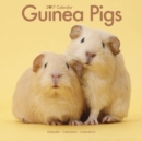 Guinea Pigs Calendar 2017 - Book