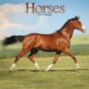 Horses Calendar 2017 - Book
