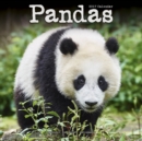 Pandas Calendar 2017 - Book