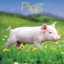 Pigs Calendar 2017 - Book