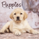 Puppies Calendar 2017 - Book